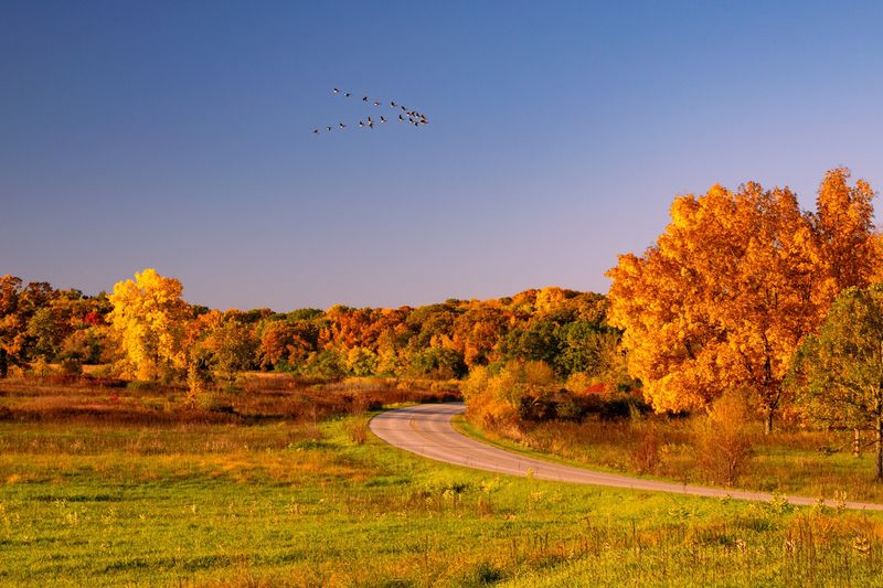 Why Thousands Stop Here Each Fall
