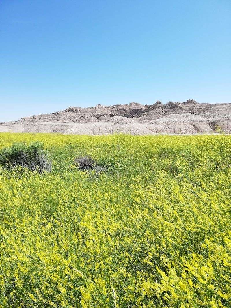 Why Toadstool Geologic Park Belongs On Every Nebraska Bucket List Why Toadstool Geologic Park Belongs On Every Nebraska Bucket List
