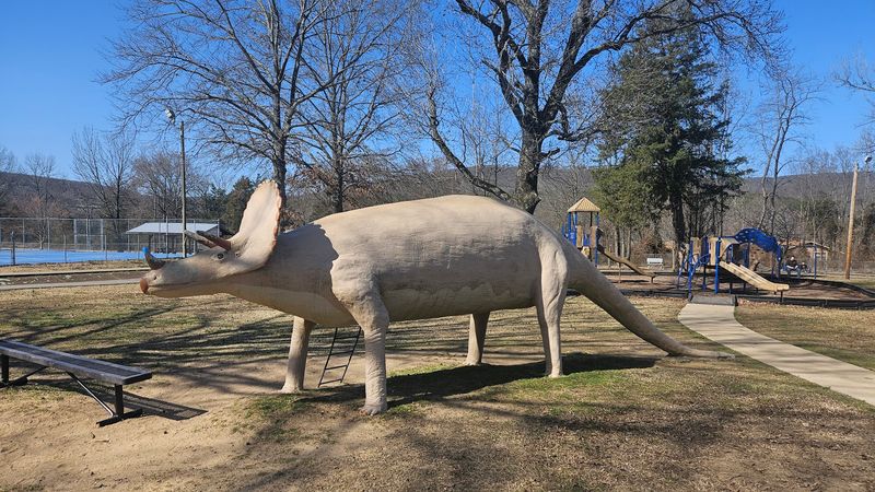 What You’ll See When You Explore The Park