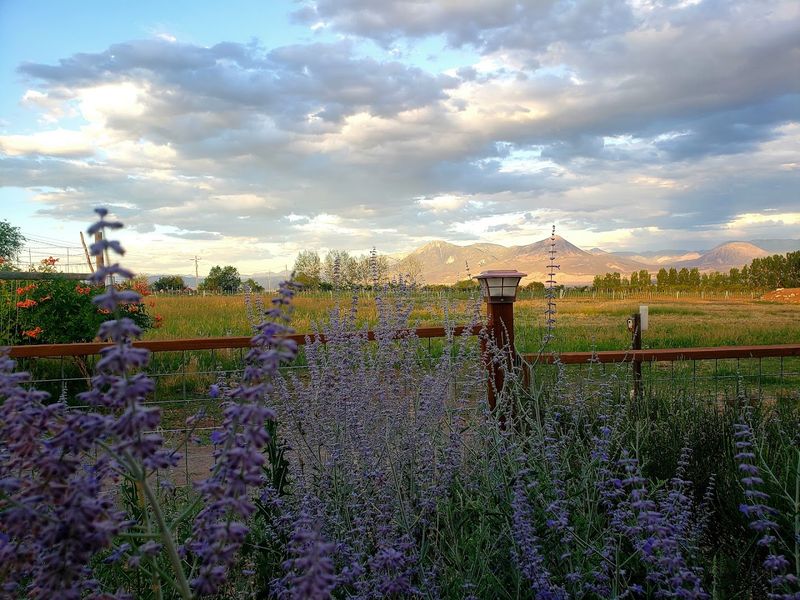 Why Visitors Keep Coming Back Every Single Season Why Visitors Keep Coming Back Every Single Season