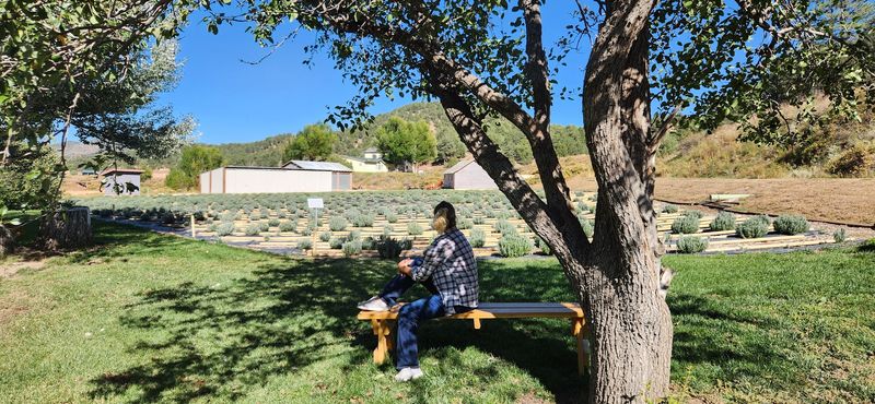 How It Fits Into a Real Weekend