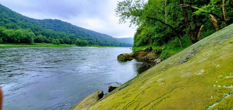 Why Water Levels Matter More Than You Think