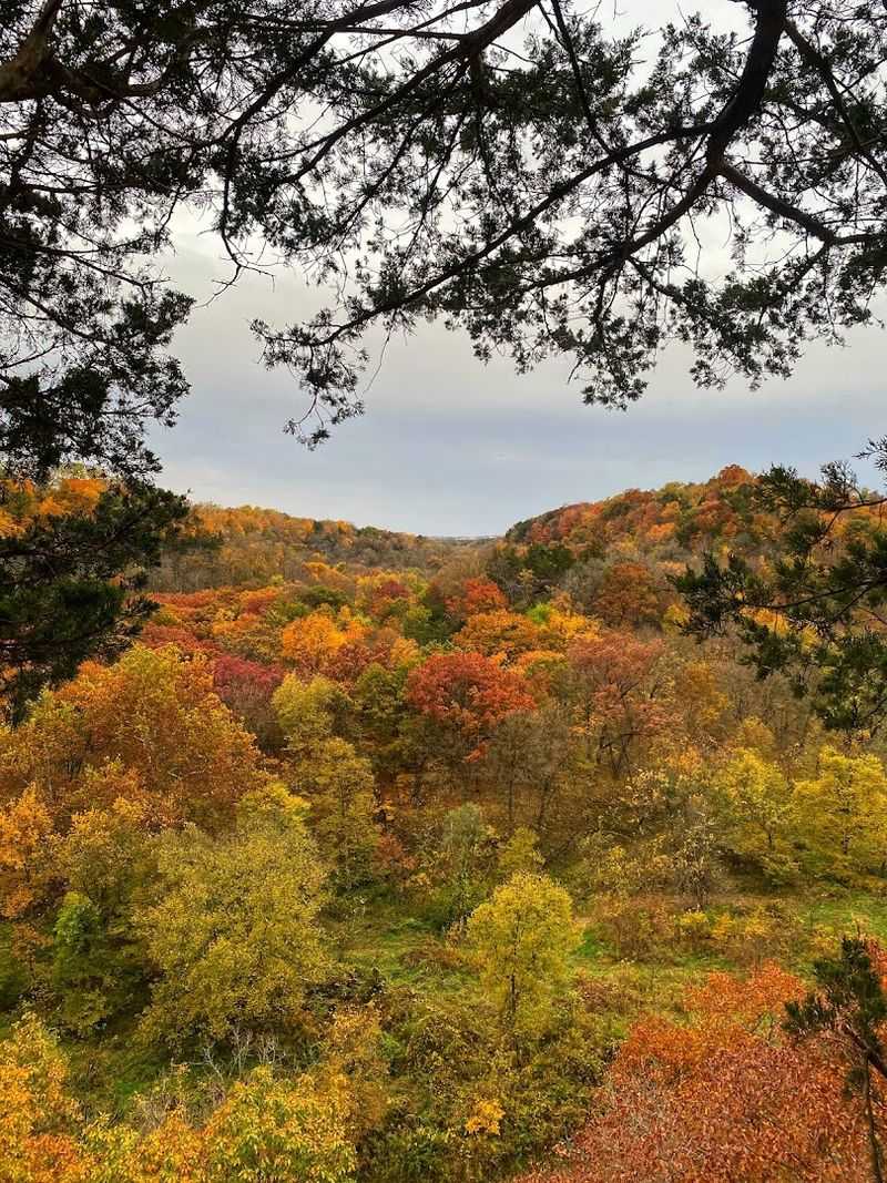 Why Whitewater Canyon Deserves A Permanent Spot On Your Iowa Bucket List