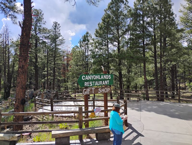 The Full Bearizona Day: Making The Most Of Your Visit Beyond The Restaurant