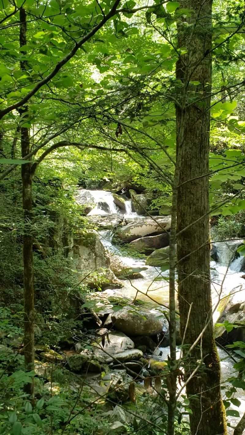 Why Yellow Creek Falls Stays With You