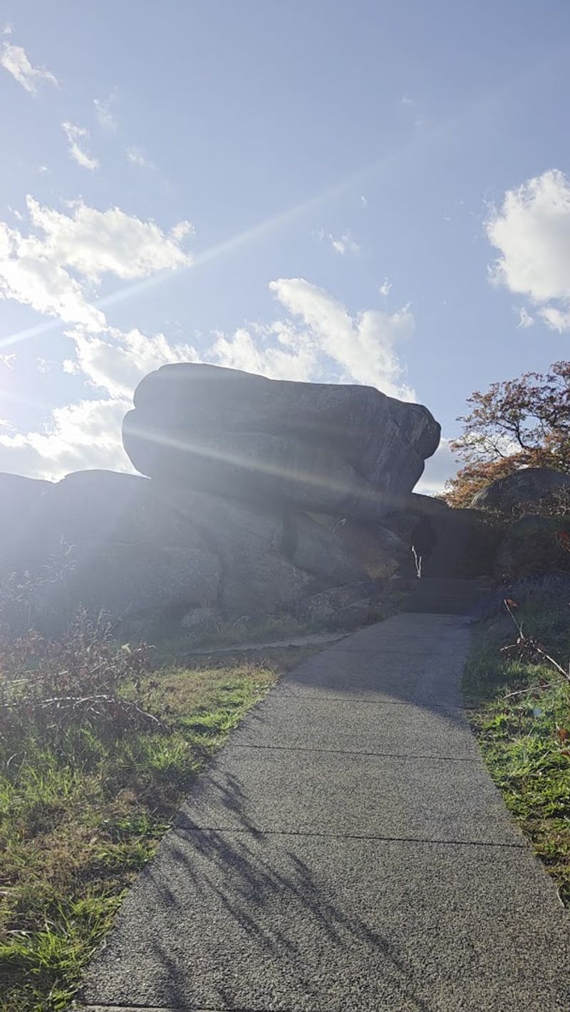 The Rehabilitation Project That Brought It Back