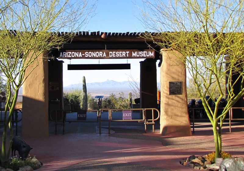 Why the After-Dark Desert Is Worth the Drive
