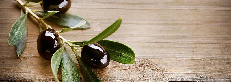 Why the Desert Turns Out to Be Perfect for Olives