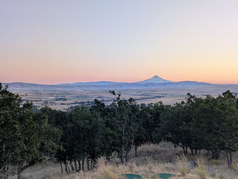 Why the Drive Is Worth It