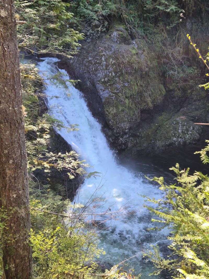 Why the Lower Falls Fits Almost Everyone Why the Lower Falls Fits Almost Everyone