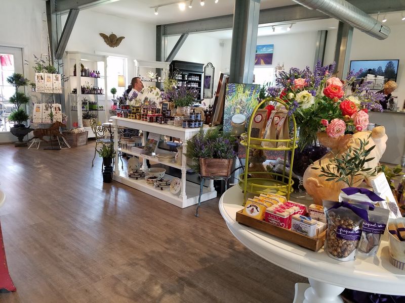 Why the Purple Detour Earns Its Place