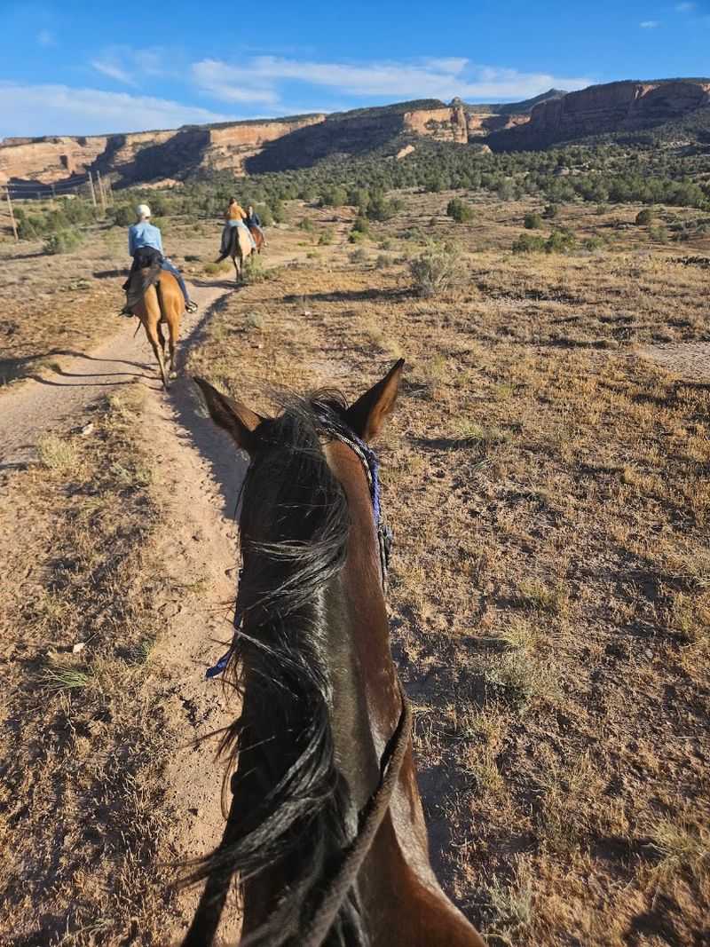 Why the RimRock Rodeo Keeps Drawing Visitors Back Year After Year