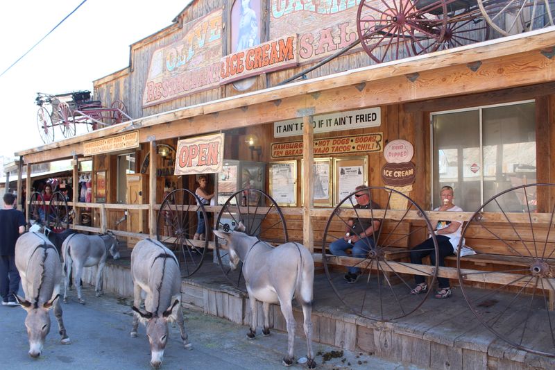Oatman, Arizona