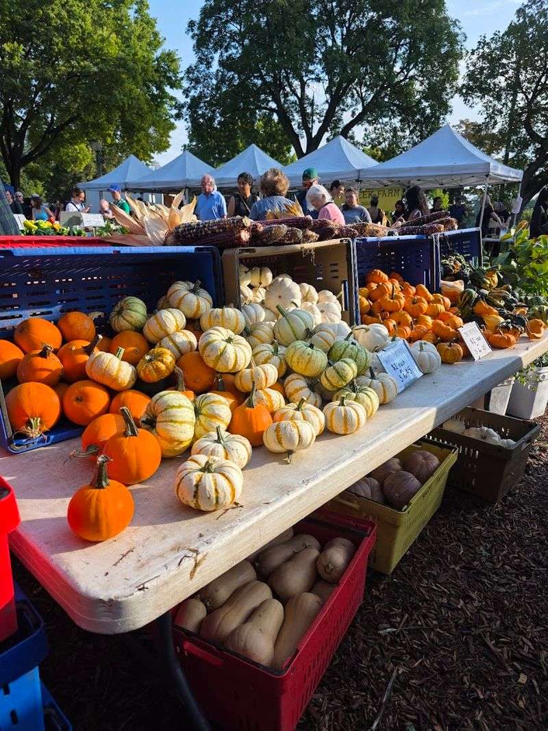 Wicker Park Farmers Market, Chicago, IL