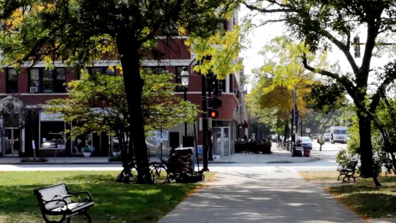 Bucktown and Logan Square