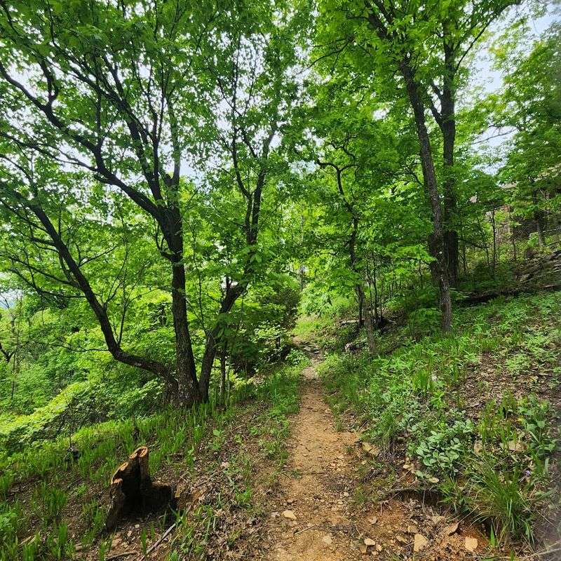 Wide-Open Sky And Endless Green
