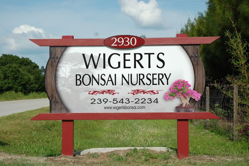 Wigert's Bonsai Nursery Holds A Near-Perfect 4.9-Star Rating Wigert's Bonsai Nursery Holds A Near-Perfect 4.9-Star Rating