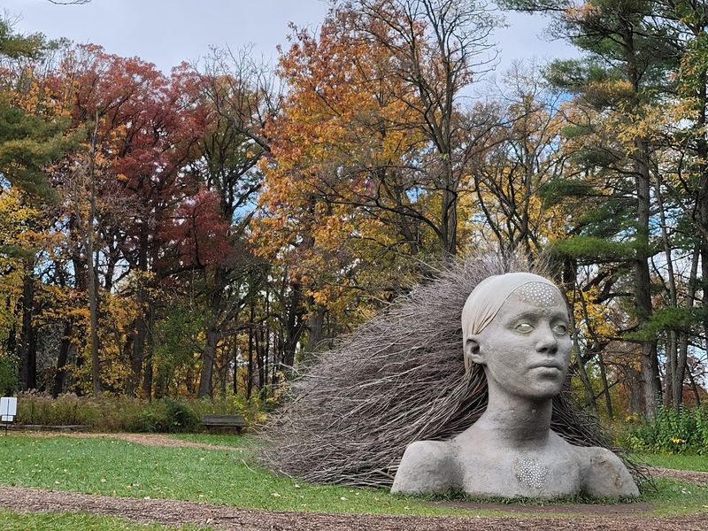 Wild Art Among The Trees