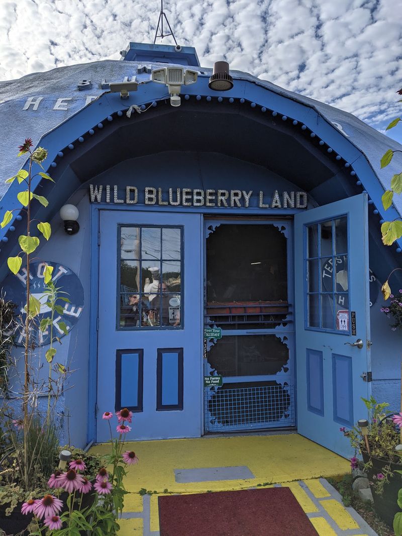 Wild Blueberry Land, Columbia Falls