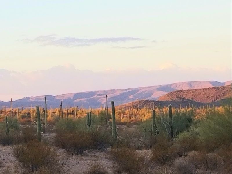 Wild Desert Country On The Other Side Of Town