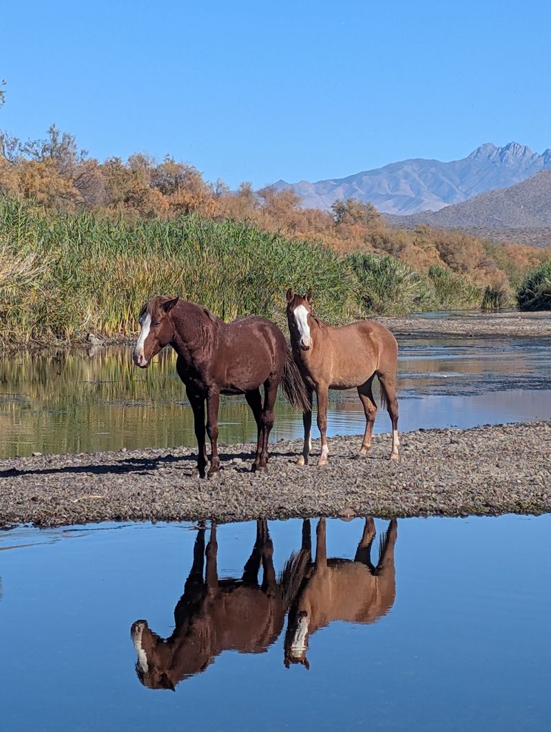 Hiking And Nature Trails