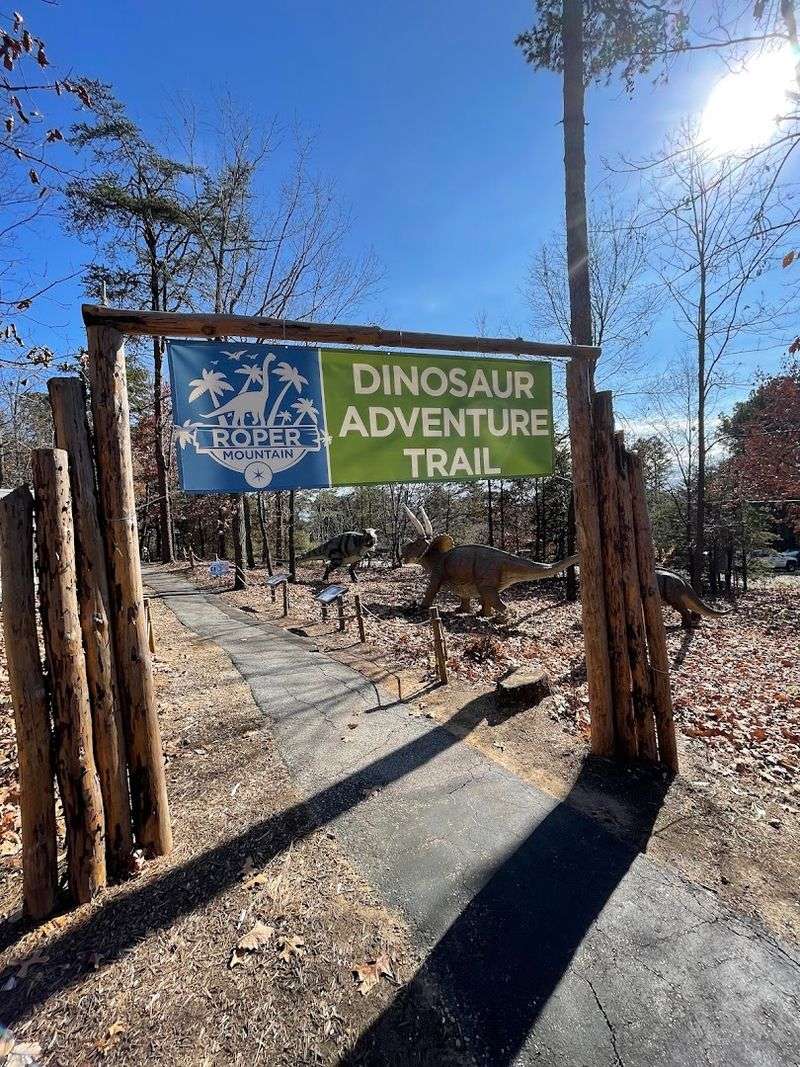Wild Kratts Adventure Exhibit For Creature Fans