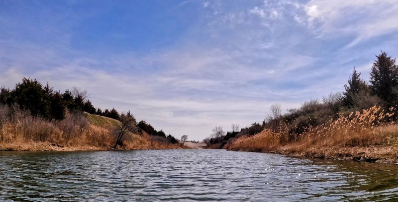 Wild, Quiet, And Surprisingly Beautiful