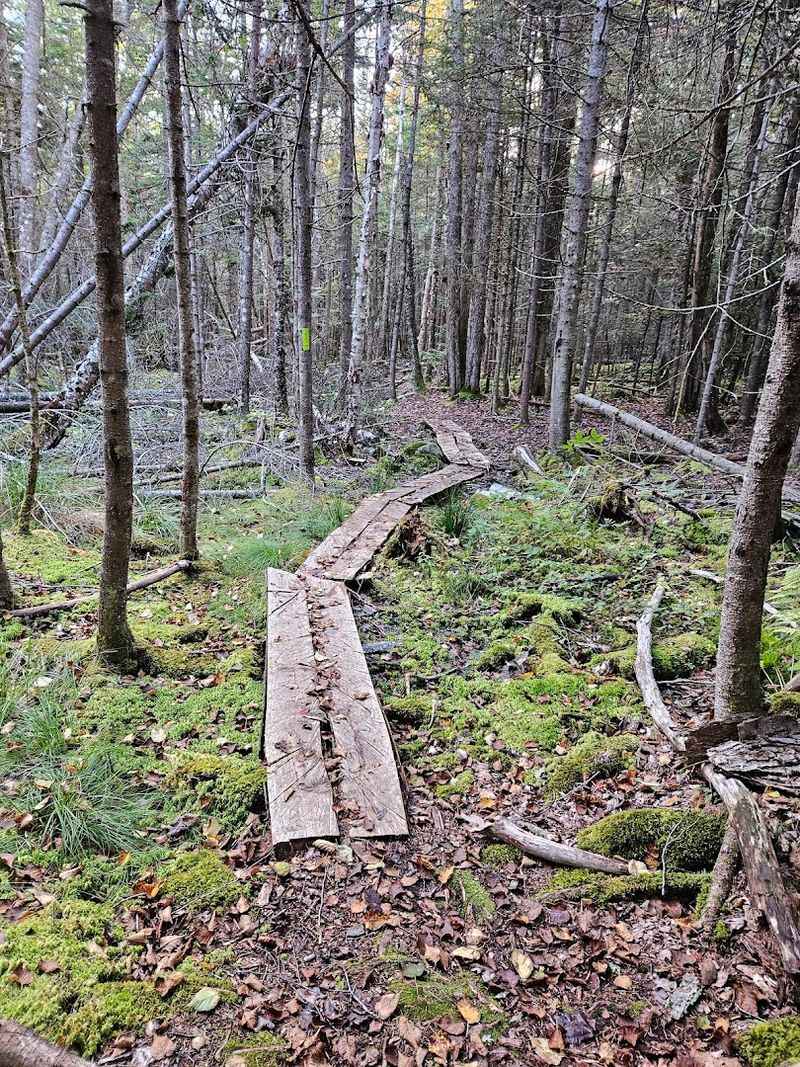 Hidden Trails Worth The Walk