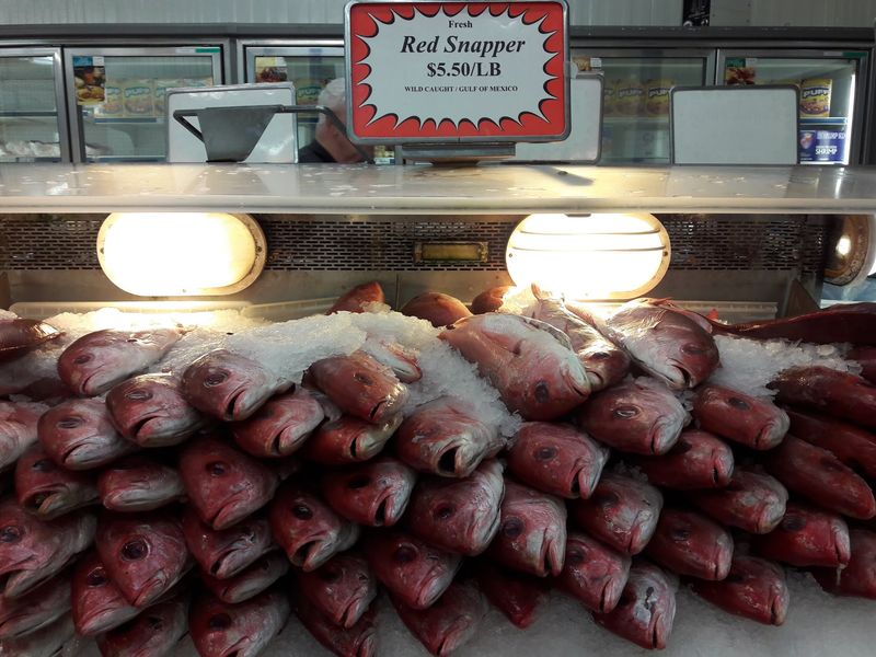 Wild Salmon and the Thick, Marbled Fillets Fans Rave About