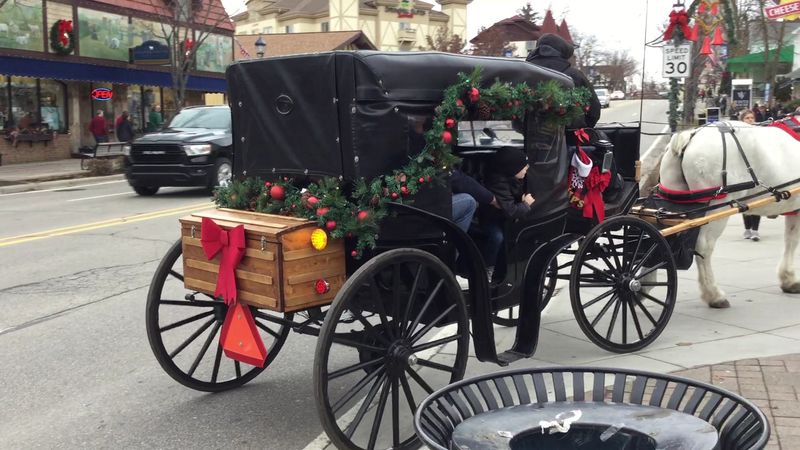 Fantasy Carriage Company, Frankenmuth