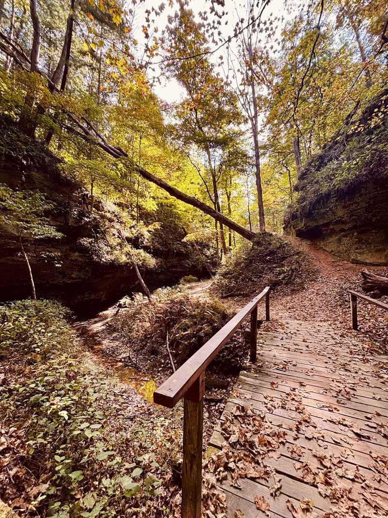 Wildcat Den State Park, Muscatine