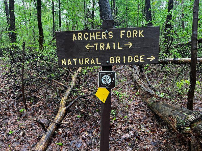 Archers Fork Trail – Wayne National Forest, Near Matamoras