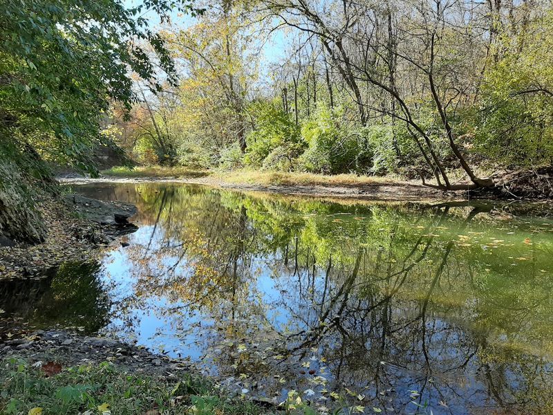 Wildcat Springs Park, Hamilton, IL