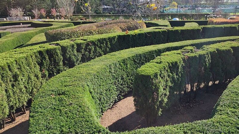 The Morton Arboretum - Lisle