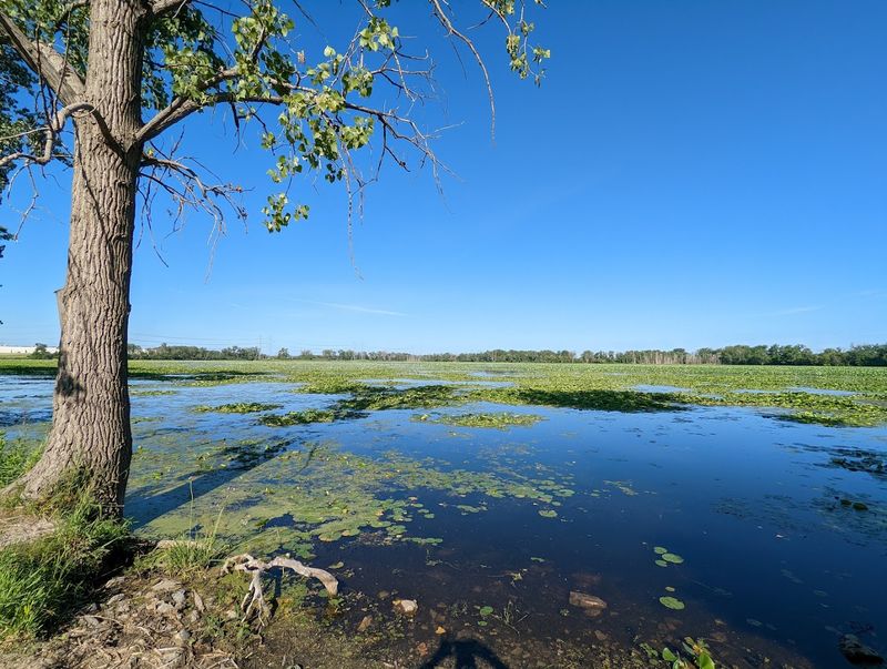 William C. Sterling State Park, Monroe