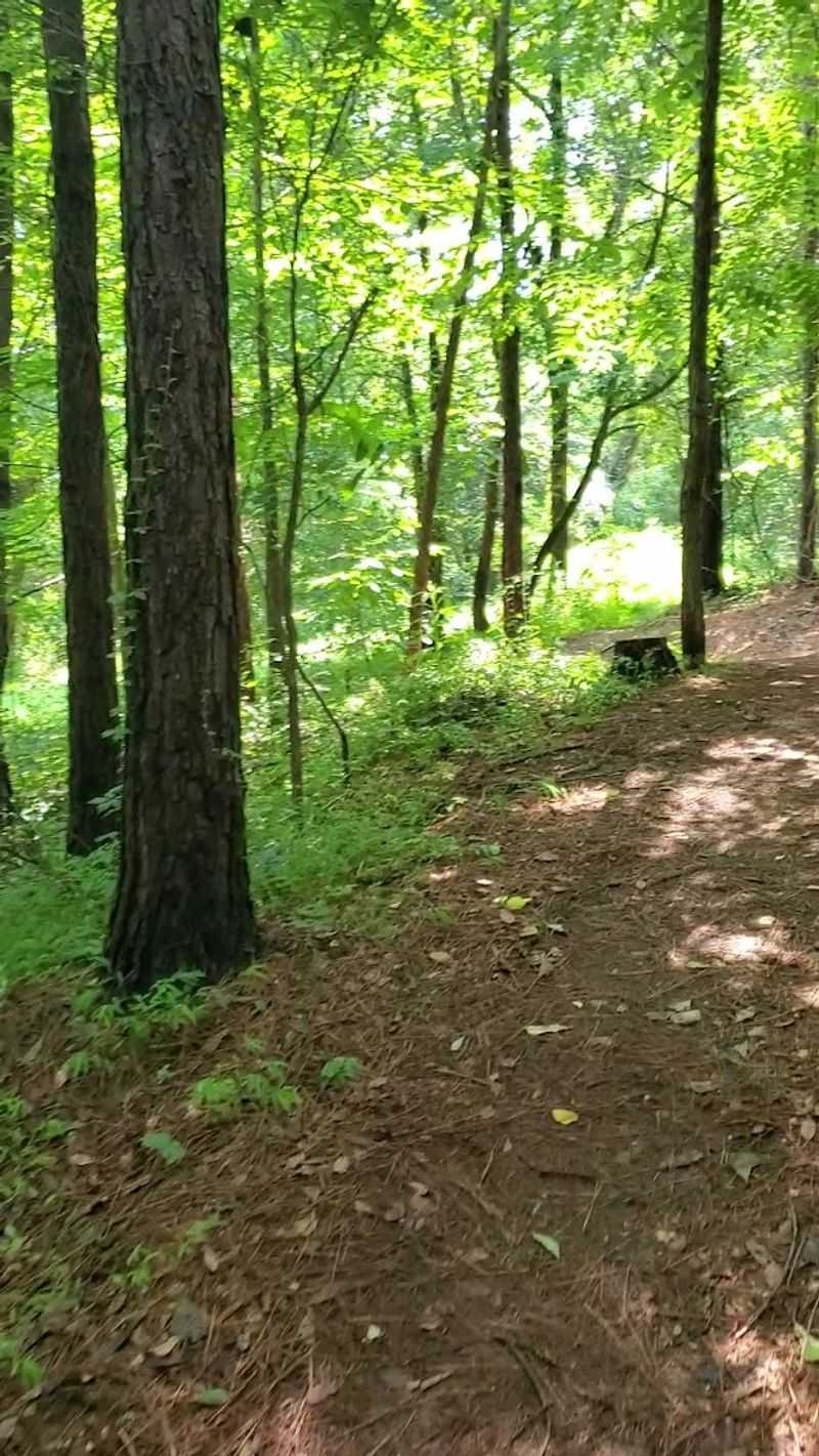 The Trail Is Open Around The Clock