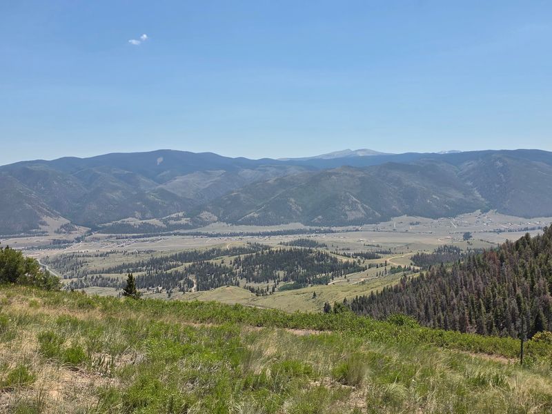Wildflowers, Bristlecones, And Views That Earn Their Altitude Wildflowers, Bristlecones, And Views That Earn Their Altitude