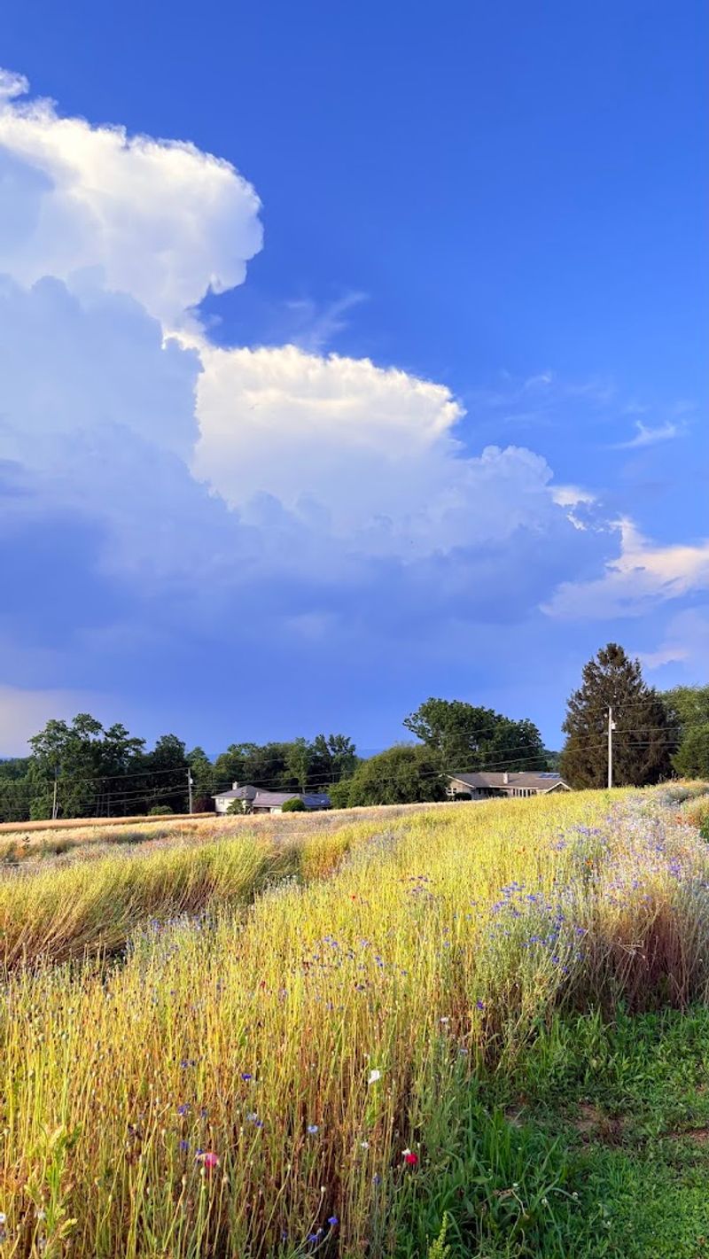 Practical Tips For Making The Most Of Your Visit