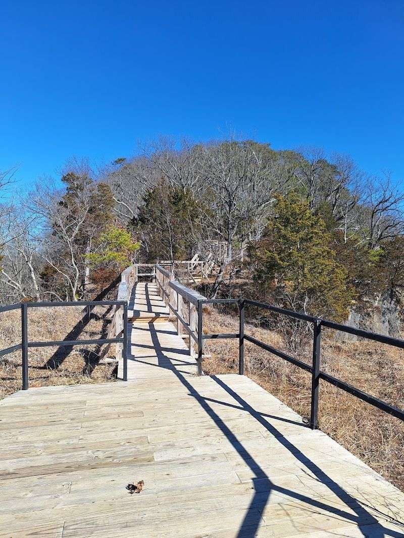 Birdwatching That Will Absolutely Blow Your Mind