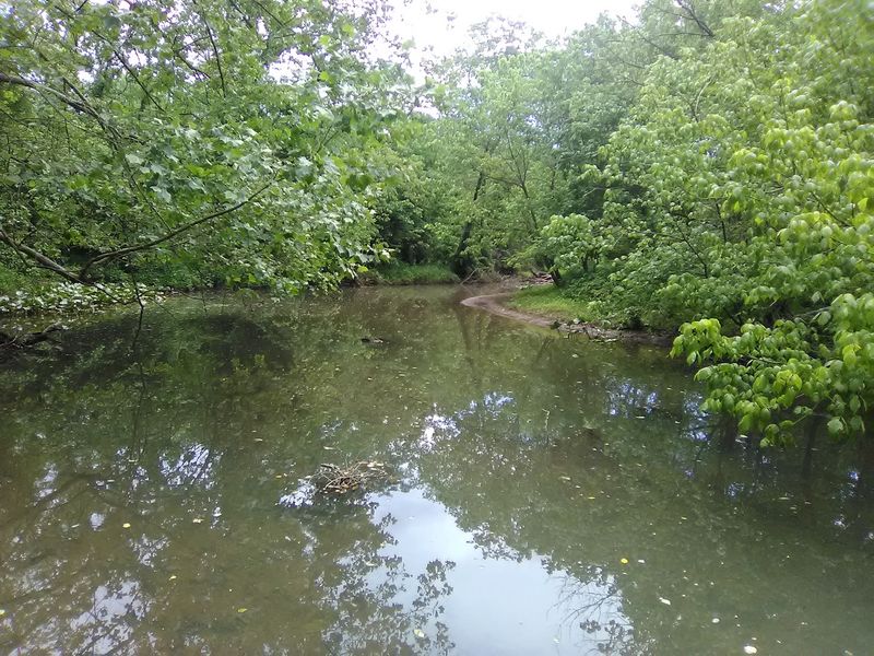 Wildlife Along The Water's Edge