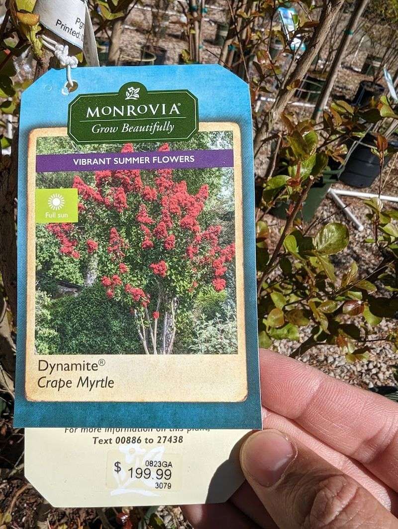 Wildlife And Backyard Habitat Displays That Educate