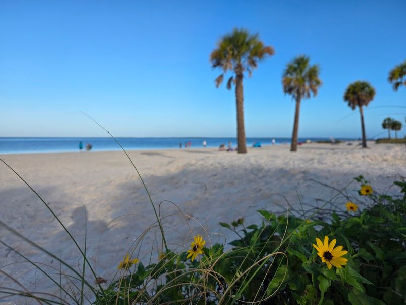 A Peaceful Alternative To Crowded Florida Beaches