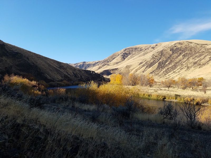 Wildlife And Birdwatching Along The Yakima River
