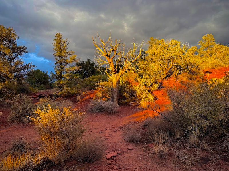 Best Times To Visit And What To Expect