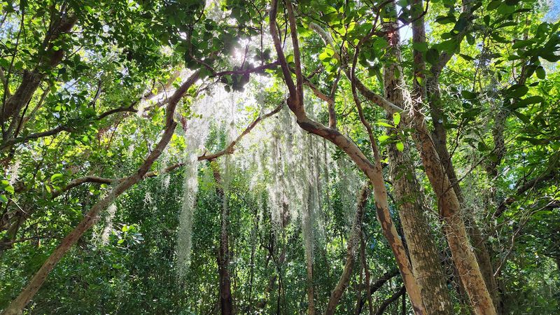 Wildlife And Native Plant Discoveries