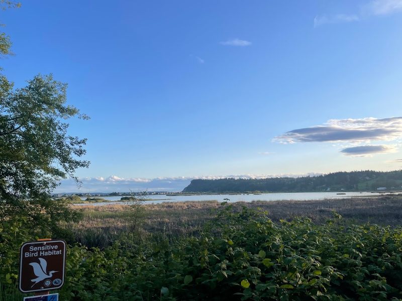 Wildlife And Natural Details Along The Trail