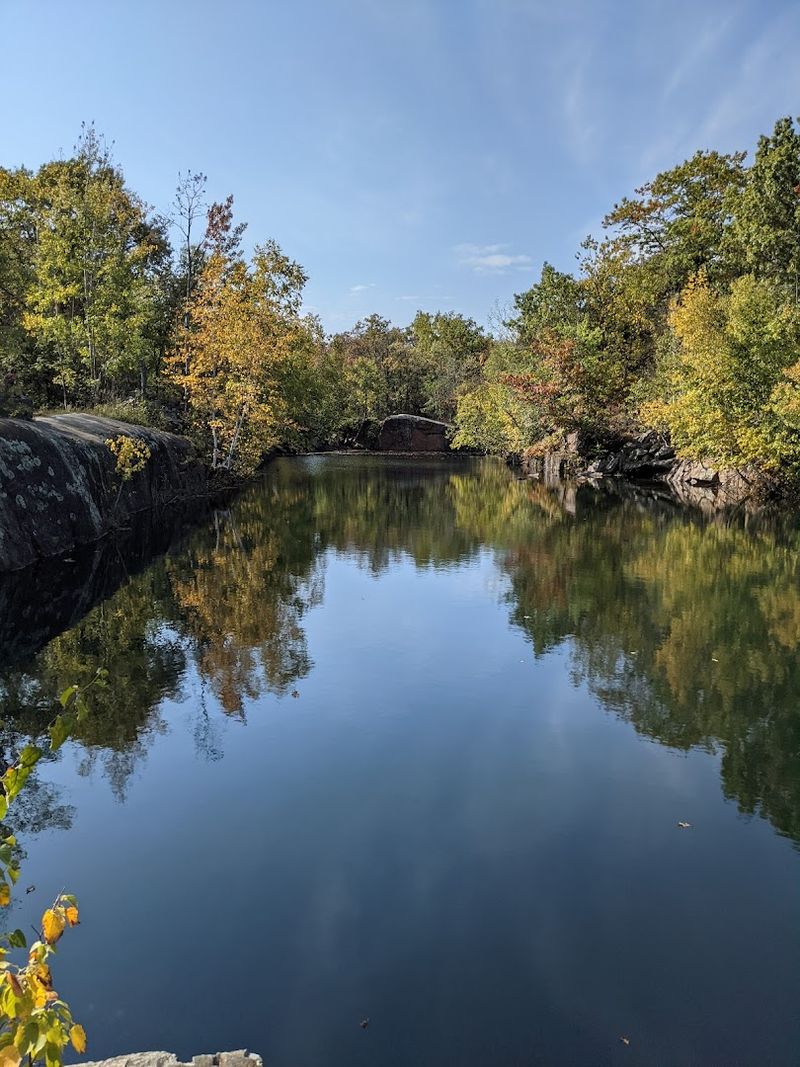 Wildlife And Natural Habitats Worth Exploring Wildlife And Natural Habitats Worth Exploring
