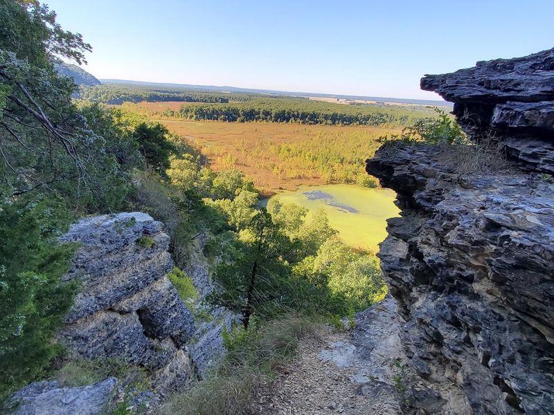 Wildlife And Natural Wonders Along The Way