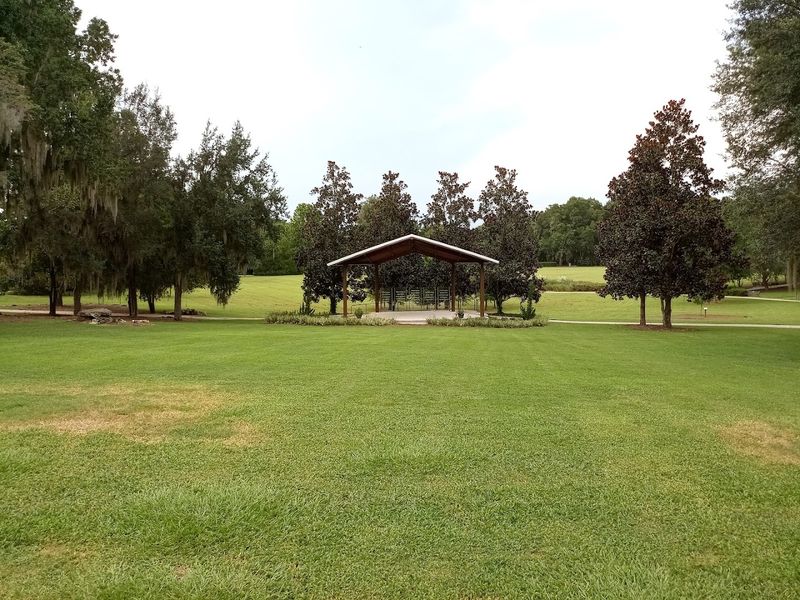 Perfect For Picnics And Family Time