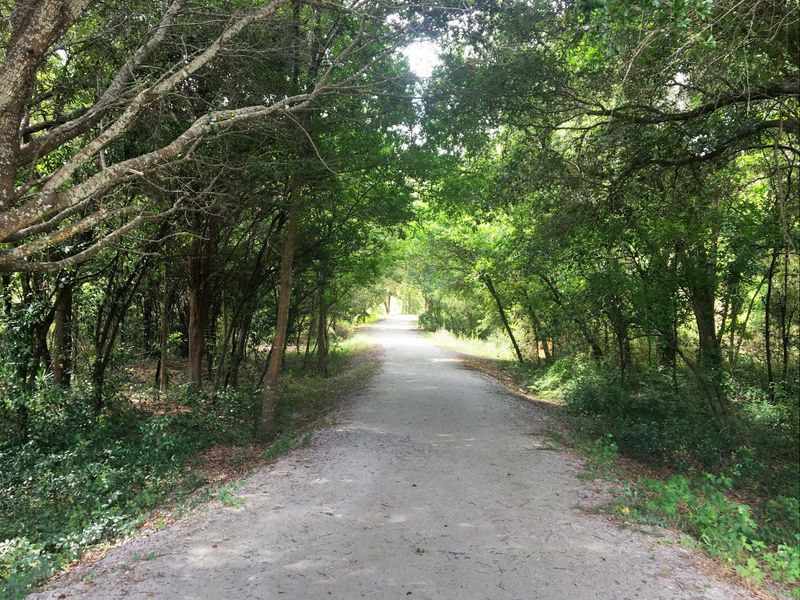 Wildlife And Nature Surround You At Every Turn
